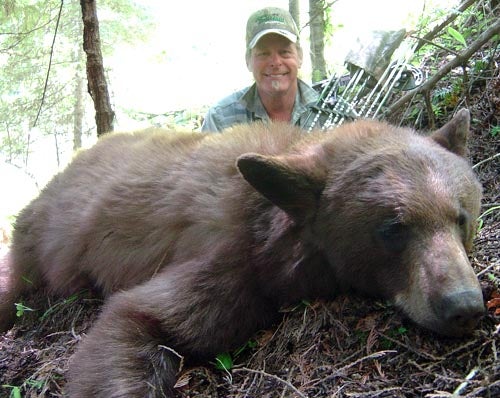 tedbear tedbear