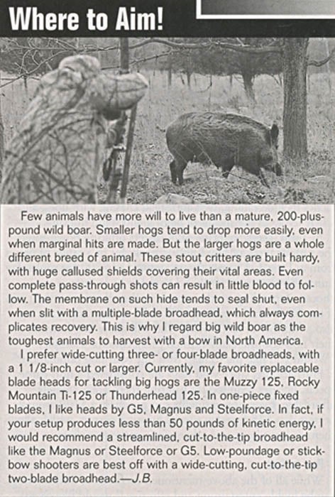 California_Wild_Hogs_8