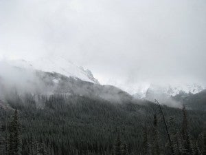 Cameron Pass